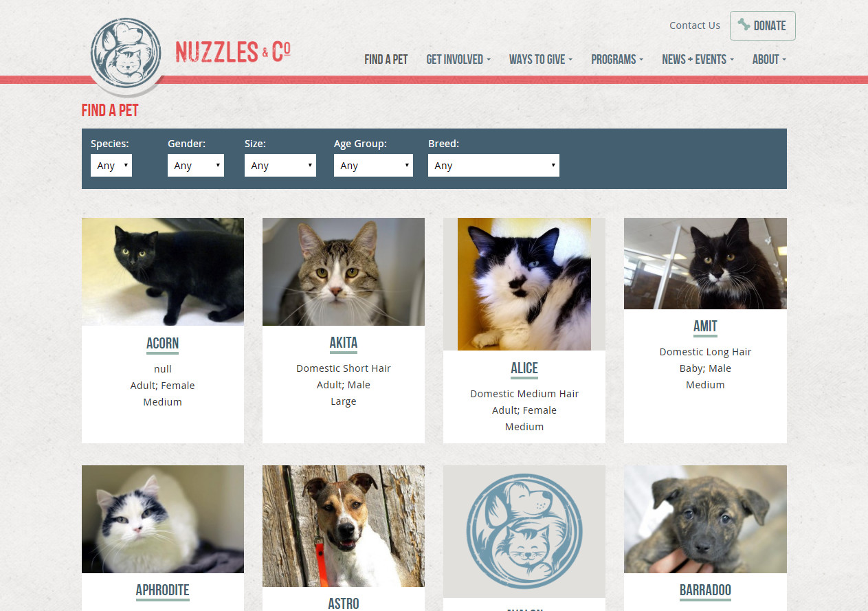 Nuzzles & Co find a pet